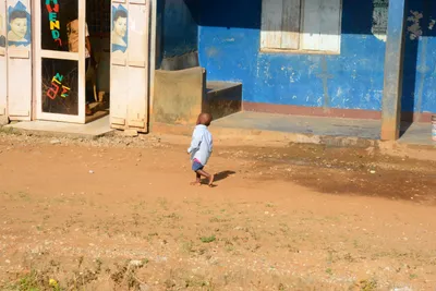 DSC_8469 (Large).JPG